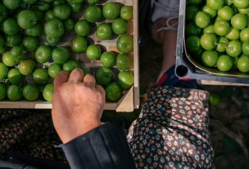 Mikro Kapital celebrates World Environment Day with 2024 sustainability achievements